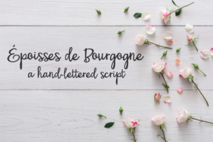 PN Époisses De Bourgogne: A Premium Font for Branding